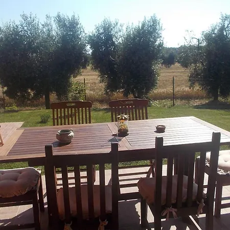Girasole Seaside And Pool Apartamento San Vincenzo